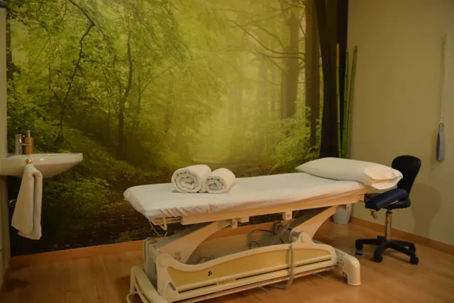 Sala de tractament · Camilla elèctrica i un bosc a la paret