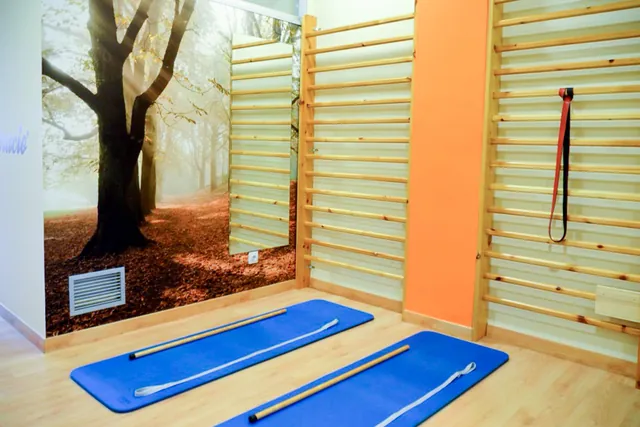 Sala d'exercici · Espatlleres i estoretes per a la reeducació postural