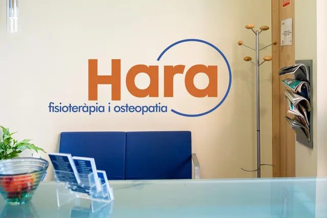 Benvinguts a Centre Hara · La recepció, a Cappont